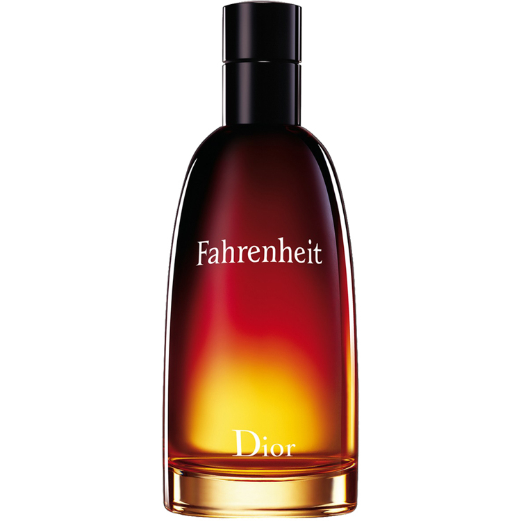Christian Dior Fahrenheit Eau de Toilette 100 ml