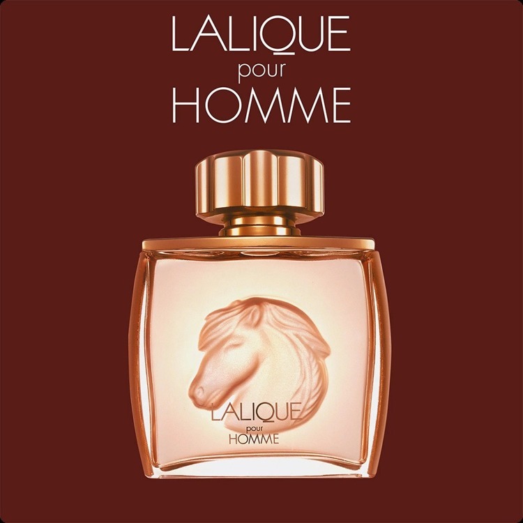 Lalique Pour Homme Equus Eau de Parfum 75 ml