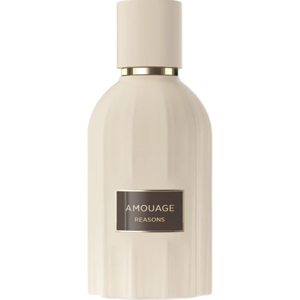 Amouage Reasons Eau de Parfum 100 ml